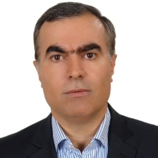 Javad Gholami